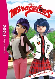 Miraculous 25 - Un duo de choc