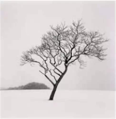 Michael Kenna 2023 Calendar /anglais -  KENNA MICHAEL - NAZRAELI