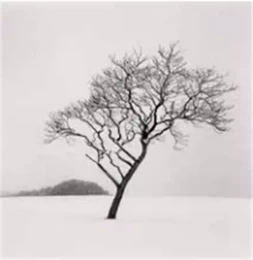 Michael Kenna 2023 Calendar /anglais