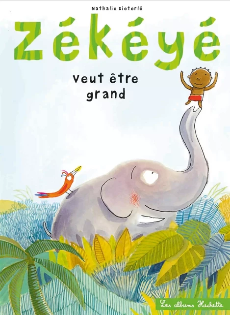 Zékéyé veut etre grand -  DIETERLE-N - HACHETTE ENFANT