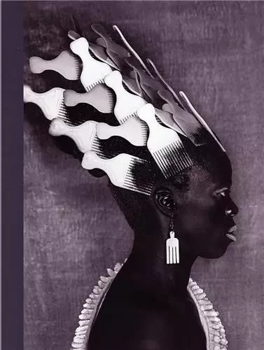 Zanele Muholi Somnyama Ngonyama, Hail the Dark Lioness, Vol. II /anglais -  MUHOLI ZANELE/MUSSAI - APERTURE