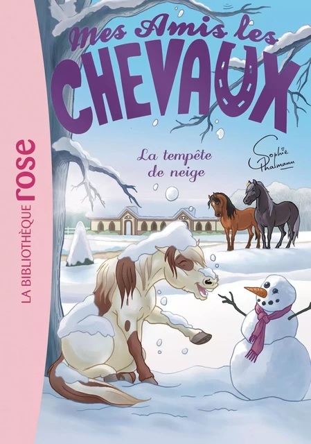 Mes amis les chevaux 25 - La Tempête de neige - Hachette Livre - HACHETTE JEUN.