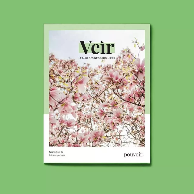 VEIR MAGAZINE- NUMERO 17 - POUVOIR -  - VEIR MAGAZINE