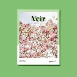 VEIR MAGAZINE- NUMERO 17 - POUVOIR