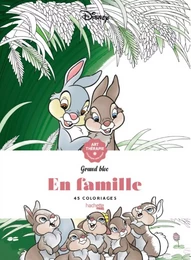 Disney En famille