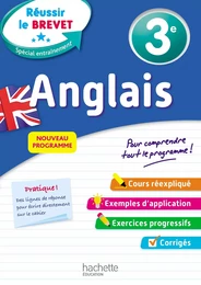 Réussir Au Collège Anglais 3e