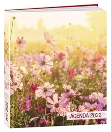 Agenda Prier 2022