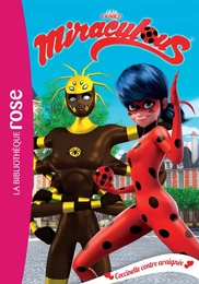 Miraculous 17 - Coccinelle contre araignée