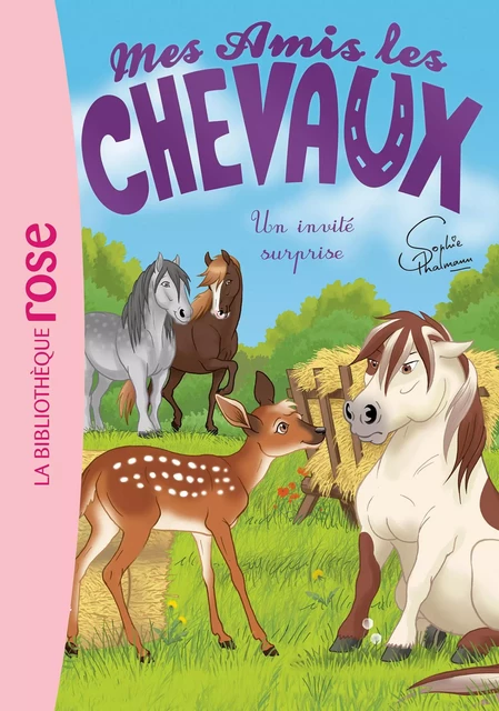 Mes Amis les chevaux 28 - Un invité surprise - Hachette Livre - HACHETTE JEUN.