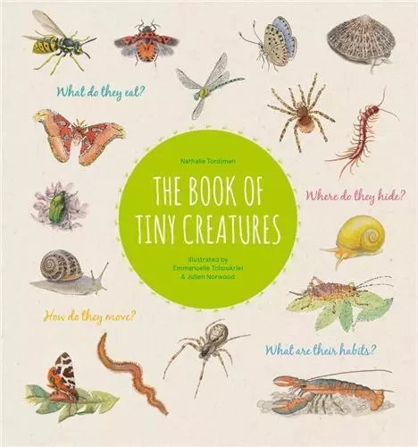 The Book of Tiny Creatures /anglais -  TORDJMAN NATHALIE/NO - PRINCETON ARCHI