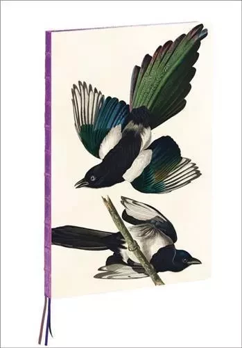 Magpies : James Audubon A4 Notebook /anglais -  AUDUBON JOHN JAMES - TENEUES VERLAG