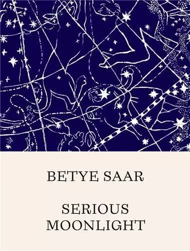 Betye Saar Serious Moonlight /anglais -  SEIDEL STEPHANIE/GAR - DAP ARTBOOK