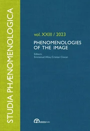 Phenomenologies of the Image