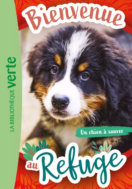 Bienvenue au refuge 02 - Un chien à sauver - Hachette Livre - HACHETTE JEUN.