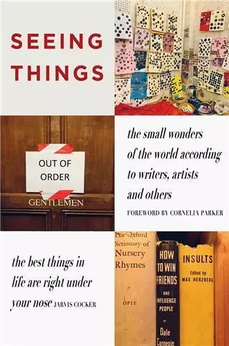 Seeing Things /anglais -  ROTHENSTEIN JULIAN - DAP ARTBOOK