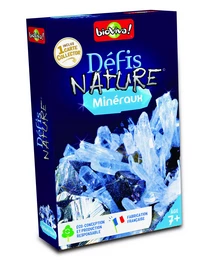 DEFIS NATURE - MINERAUX