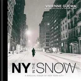 New York In The Snow /anglais