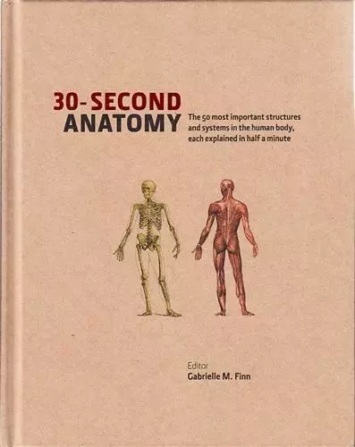 30 Second Anatomy /anglais -  IVY - IVY PRESS