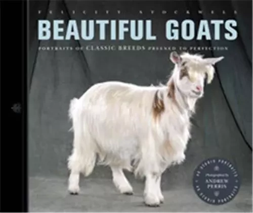 Beautiful Goats /anglais -  STOCKWELL FELICITY - IVY PRESS