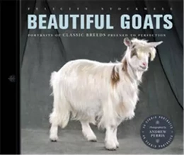 Beautiful Goats /anglais