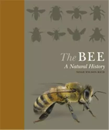 The Bee A Natural History /anglais -  WILSON-RICH NOAH - IVY PRESS