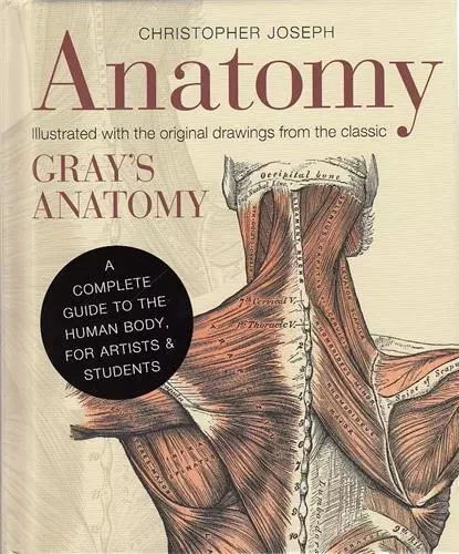 Anatomy /anglais -  JOSEPH CHRISTOPHER - IVY PRESS