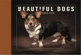 Beautiful Dogs Postcard Book /anglais