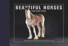 Beautiful Horses Postcard Book /anglais