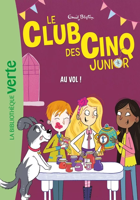 Le Club des Cinq Junior 15 - Au vol ! - Enid Blyton - HACHETTE JEUN.