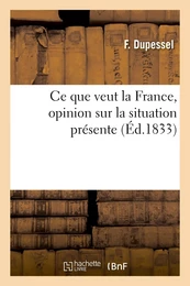 Ce que veut la France, opinion sur la situation présente