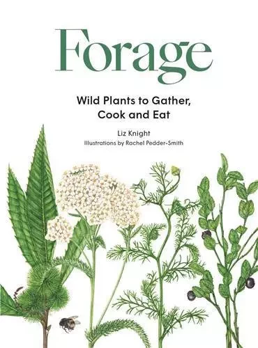 Forage : Wild Plants to Gather, Cook and Eat /anglais -  KNIGHT LIZ/PEDDER-SM - LAURENCE KING