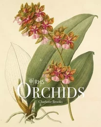 RHS Orchids /anglais