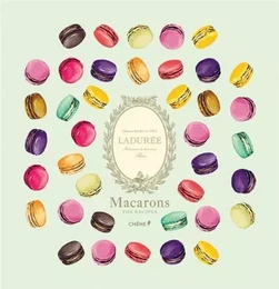 Laduree Macarons The Recipes /anglais