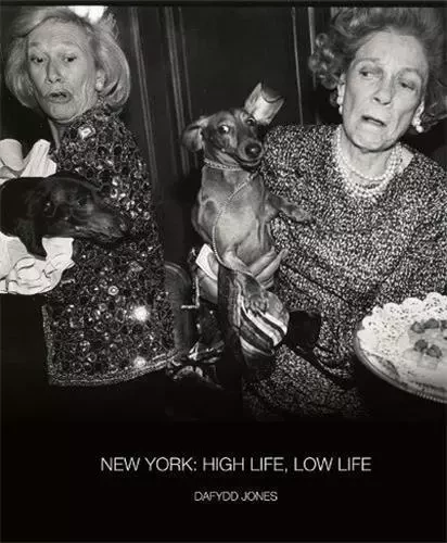 Daffyd Jones New York : High Life, Low Life /anglais -  JONES DAFYDD - ACC ART BOOKS