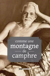 Comme une montagne de camphre