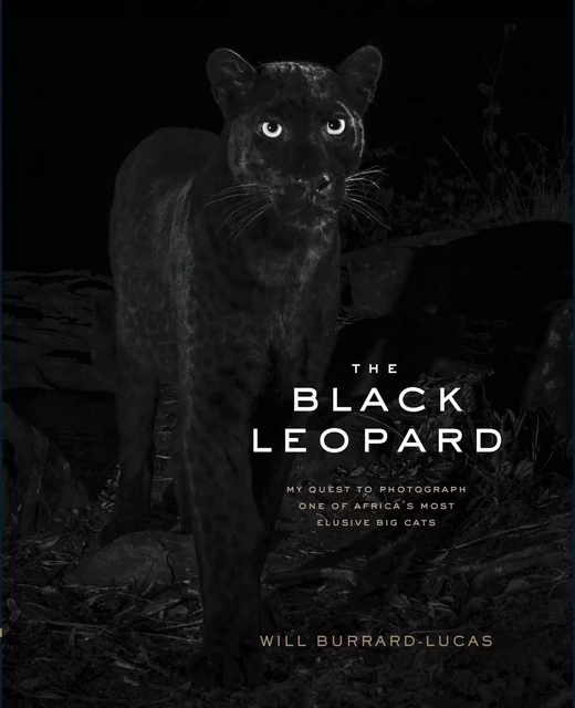 THE BLACK LEOPARD -  Will Burrard-Lucas - CHRONICLE