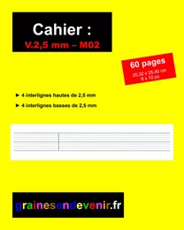 CAHIER D’ÉCRITURE VIERGE V.2,5 mm - M02