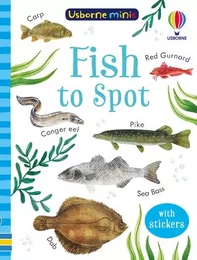 Fish to Spot - Usborne Minis