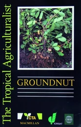 Groundnut