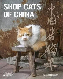 Shop Cats of China /anglais