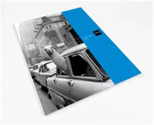 MAGNUM PHOTOS: POSTER BOOK (ICONS) /ANGLAIS -  MAGNUM PHOTOS - THAMES HUDSON