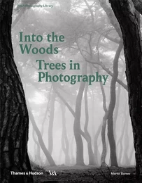 Into the Woods Trees in Photography /anglais