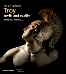 Troy (Hardback) /anglais