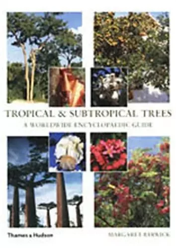 Tropical and Subtropical Trees /anglais -  BARWICK MARGARET - THAMES HUDSON