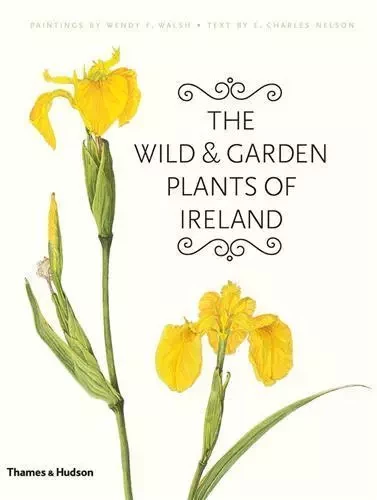 The Wild & Garden Plants of Ireland /anglais -  WALSH WENDY F - THAMES HUDSON