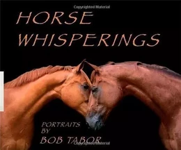 Horse Whisperings Portraits by Bob Tabor /anglais