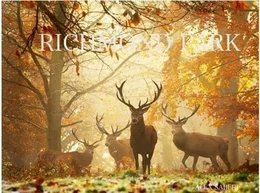 Richmond Park /anglais