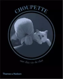 Choupette The Private Life of a High-Flying Fashion Cat /anglais