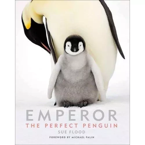 Emperor The Perfect Penguin /anglais -  FLOOD SUE - ACC ART BOOKS