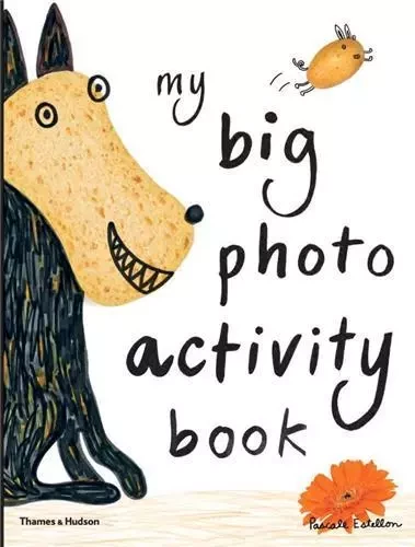 My Big Photo Activity Book /anglais -  ESTELLON PASCALE - THAMES HUDSON